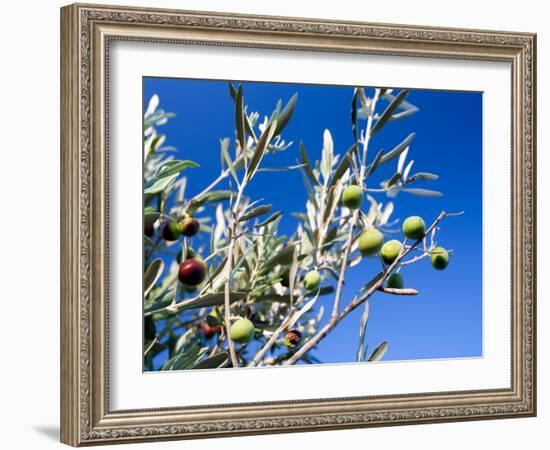 Views of Andalusia, Spain-Felipe Rodriguez-Framed Photographic Print