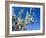 Views of Andalusia, Spain-Felipe Rodriguez-Framed Photographic Print