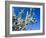 Views of Andalusia, Spain-Felipe Rodriguez-Framed Photographic Print