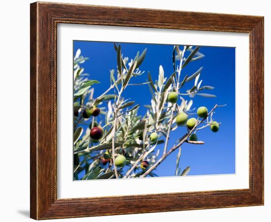 Views of Andalusia, Spain-Felipe Rodriguez-Framed Photographic Print