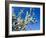 Views of Andalusia, Spain-Felipe Rodriguez-Framed Photographic Print