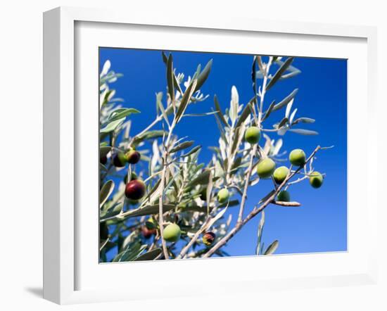 Views of Andalusia, Spain-Felipe Rodriguez-Framed Photographic Print