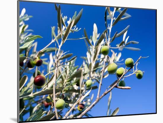 Views of Andalusia, Spain-Felipe Rodriguez-Mounted Photographic Print