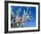 Views of Andalusia, Spain-Felipe Rodriguez-Framed Photographic Print