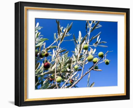 Views of Andalusia, Spain-Felipe Rodriguez-Framed Photographic Print