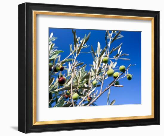 Views of Andalusia, Spain-Felipe Rodriguez-Framed Photographic Print