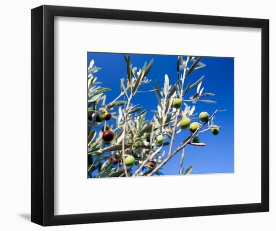 Views of Andalusia, Spain-Felipe Rodriguez-Framed Photographic Print