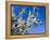 Views of Andalusia, Spain-Felipe Rodriguez-Framed Premier Image Canvas