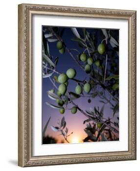 Views of Andalusia, Spain-Felipe Rodriguez-Framed Photographic Print