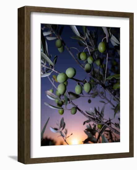 Views of Andalusia, Spain-Felipe Rodriguez-Framed Photographic Print