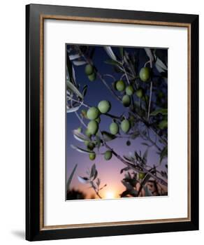 Views of Andalusia, Spain-Felipe Rodriguez-Framed Photographic Print