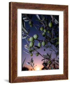 Views of Andalusia, Spain-Felipe Rodriguez-Framed Photographic Print