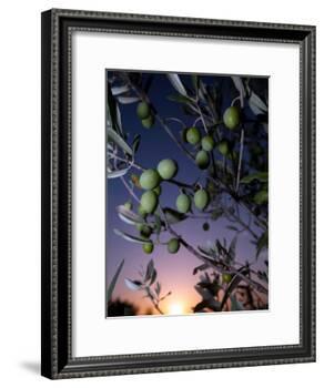 Views of Andalusia, Spain-Felipe Rodriguez-Framed Photographic Print
