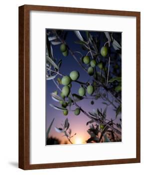Views of Andalusia, Spain-Felipe Rodriguez-Framed Photographic Print
