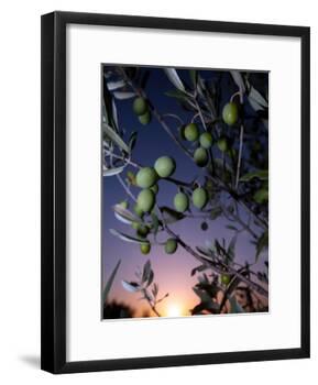 Views of Andalusia, Spain-Felipe Rodriguez-Framed Photographic Print