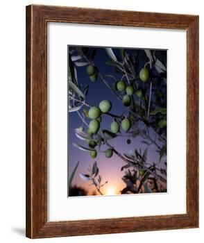 Views of Andalusia, Spain-Felipe Rodriguez-Framed Photographic Print