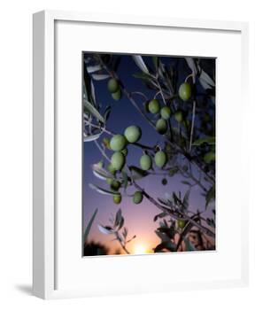 Views of Andalusia, Spain-Felipe Rodriguez-Framed Photographic Print