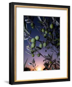 Views of Andalusia, Spain-Felipe Rodriguez-Framed Photographic Print