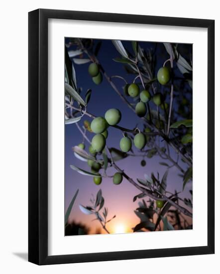 Views of Andalusia, Spain-Felipe Rodriguez-Framed Photographic Print