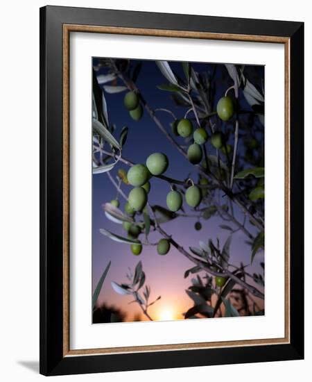 Views of Andalusia, Spain-Felipe Rodriguez-Framed Photographic Print