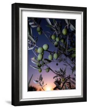 Views of Andalusia, Spain-Felipe Rodriguez-Framed Photographic Print