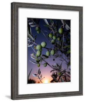 Views of Andalusia, Spain-Felipe Rodriguez-Framed Photographic Print