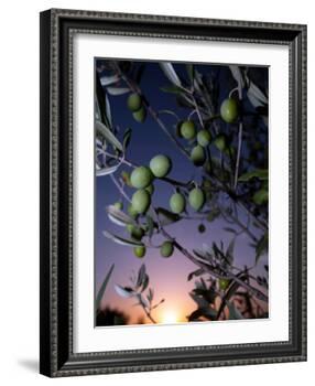 Views of Andalusia, Spain-Felipe Rodriguez-Framed Photographic Print