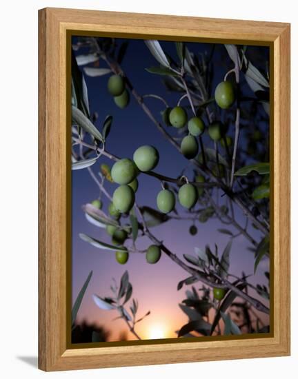 Views of Andalusia, Spain-Felipe Rodriguez-Framed Premier Image Canvas