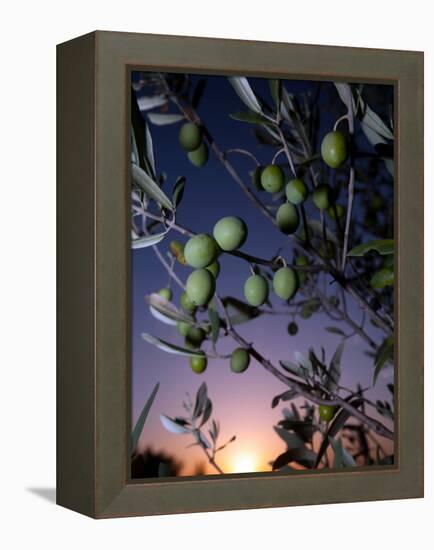 Views of Andalusia, Spain-Felipe Rodriguez-Framed Premier Image Canvas