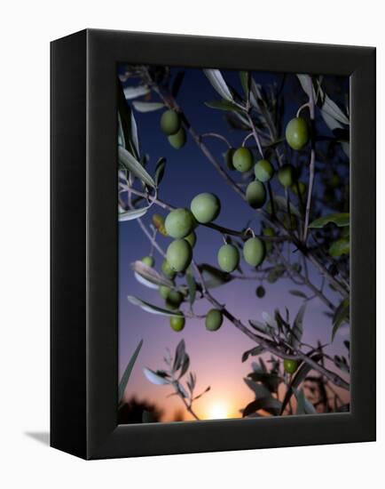 Views of Andalusia, Spain-Felipe Rodriguez-Framed Premier Image Canvas