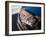 Views of Andalusia, Spain-Felipe Rodriguez-Framed Photographic Print