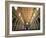 Views of Andalusia, Spain-Felipe Rodriguez-Framed Photographic Print