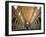 Views of Andalusia, Spain-Felipe Rodriguez-Framed Photographic Print