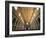 Views of Andalusia, Spain-Felipe Rodriguez-Framed Photographic Print