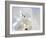 Views of Andalusia, Spain-Felipe Rodriguez-Framed Photographic Print