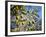 Views of Andalusia, Spain-Felipe Rodriguez-Framed Photographic Print