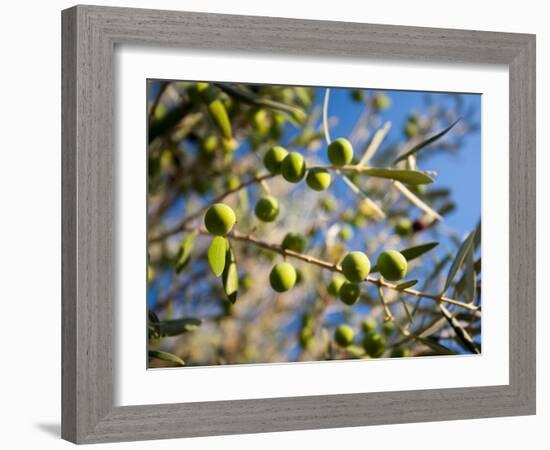 Views of Andalusia, Spain-Felipe Rodriguez-Framed Photographic Print