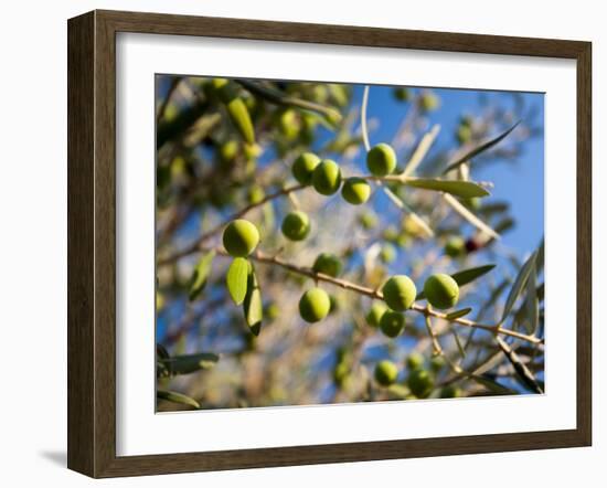 Views of Andalusia, Spain-Felipe Rodriguez-Framed Photographic Print