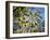 Views of Andalusia, Spain-Felipe Rodriguez-Framed Photographic Print