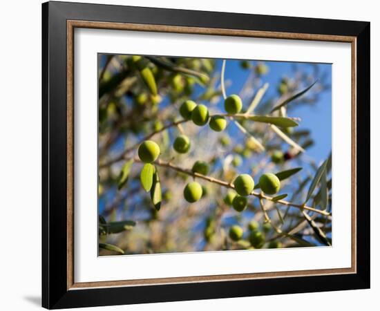 Views of Andalusia, Spain-Felipe Rodriguez-Framed Photographic Print