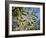 Views of Andalusia, Spain-Felipe Rodriguez-Framed Photographic Print