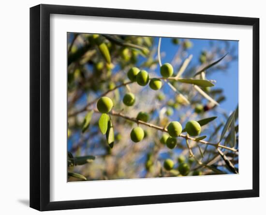 Views of Andalusia, Spain-Felipe Rodriguez-Framed Photographic Print