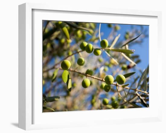 Views of Andalusia, Spain-Felipe Rodriguez-Framed Photographic Print