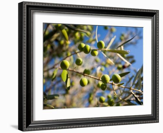 Views of Andalusia, Spain-Felipe Rodriguez-Framed Photographic Print