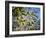 Views of Andalusia, Spain-Felipe Rodriguez-Framed Photographic Print