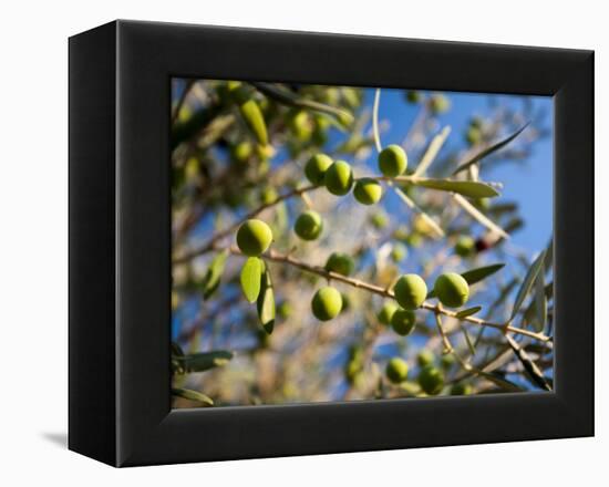 Views of Andalusia, Spain-Felipe Rodriguez-Framed Premier Image Canvas