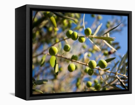 Views of Andalusia, Spain-Felipe Rodriguez-Framed Premier Image Canvas