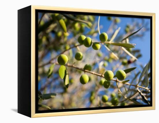 Views of Andalusia, Spain-Felipe Rodriguez-Framed Premier Image Canvas