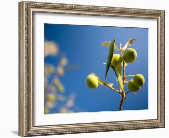 Views of Andalusia, Spain-Felipe Rodriguez-Framed Photographic Print