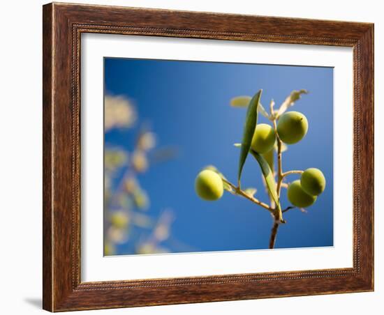 Views of Andalusia, Spain-Felipe Rodriguez-Framed Photographic Print